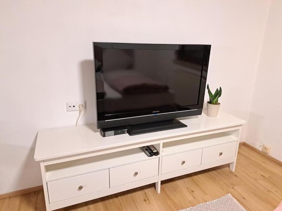 Ferienwohnung Zanier Gaissau  Zewnętrze zdjęcie